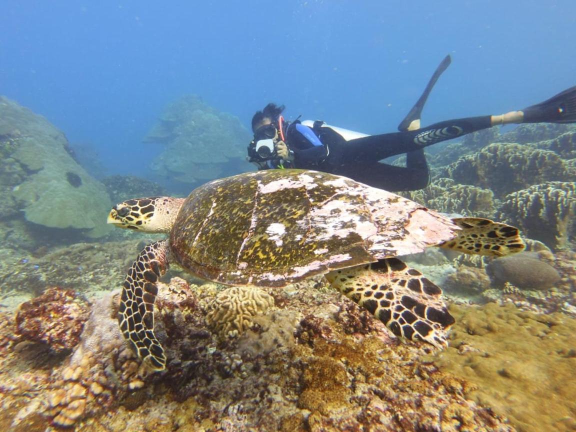 The Sagara Penida Nusa Penida Exteriör bild