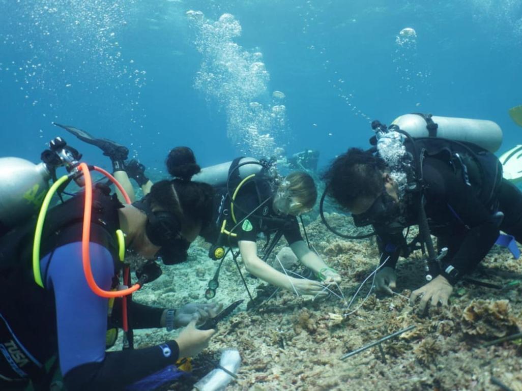 The Sagara Penida Nusa Penida Rum bild